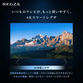TVS REGZA 55M550R 液晶テレビ 正面